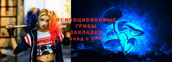 mdpv Надым