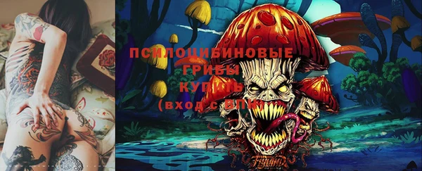 mdpv Надым